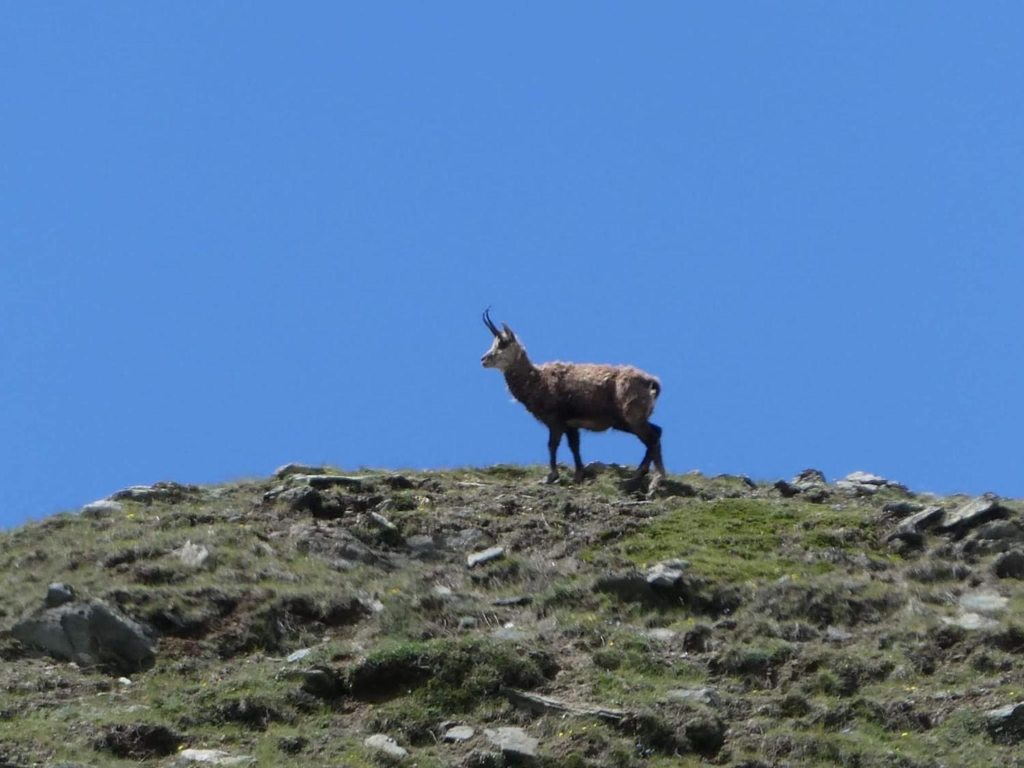 Aosta Maisongnemaz Kültér fotó