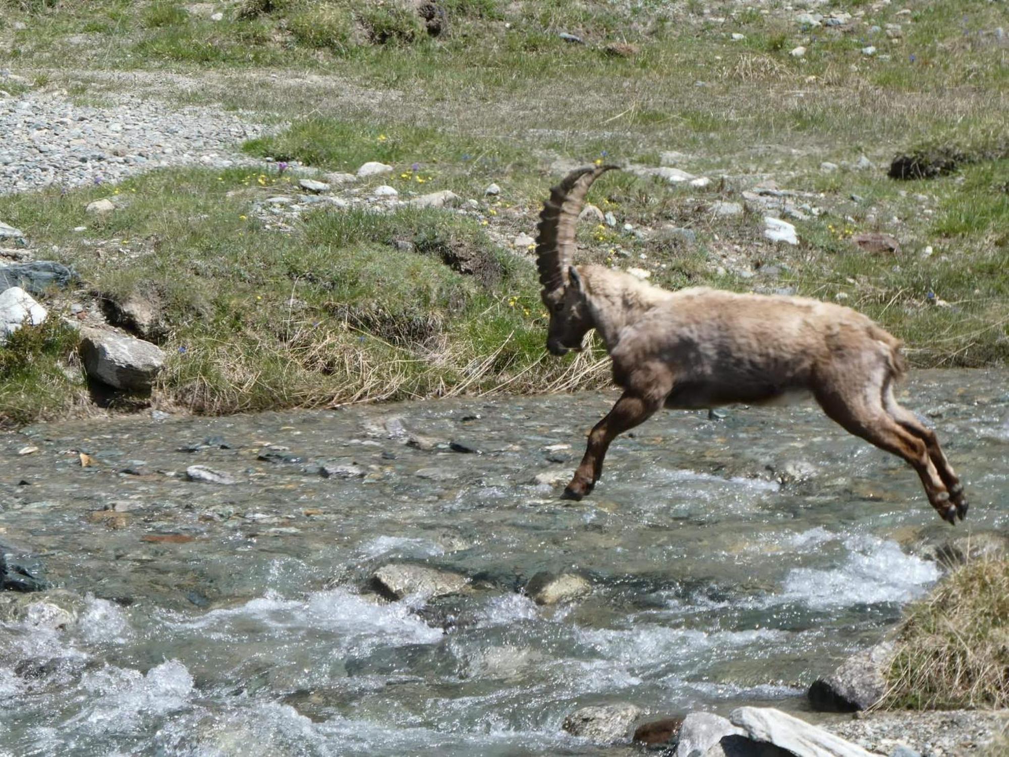 Aosta Maisongnemaz Kültér fotó